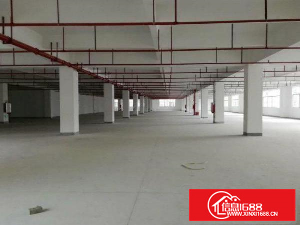 仲恺高新区沥林6万平米花园式全新落地窗厂房火爆招租可分