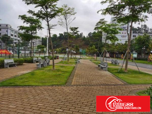 坂田上雪科技园大小面积厂房招租