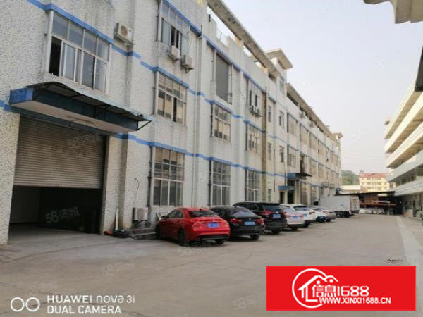 塘厦大坪新出一楼1500平,现成行车办公,无公摊原房东出租