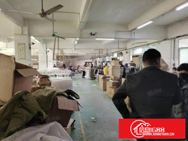 金凤凰独院厂房出租，可以分租