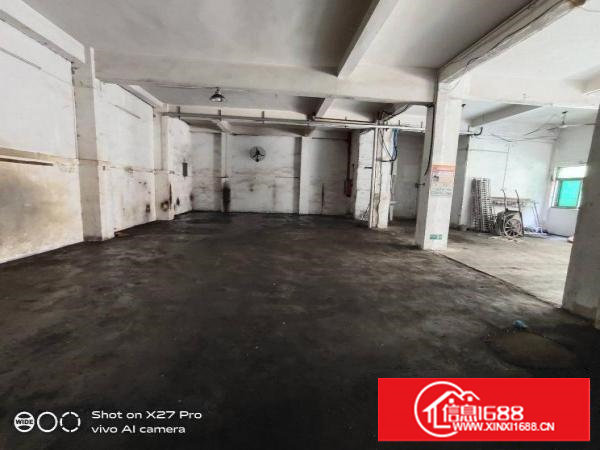 塘厦诸佛岭新出标准一楼300平现成办公室主线到车间小客户福音