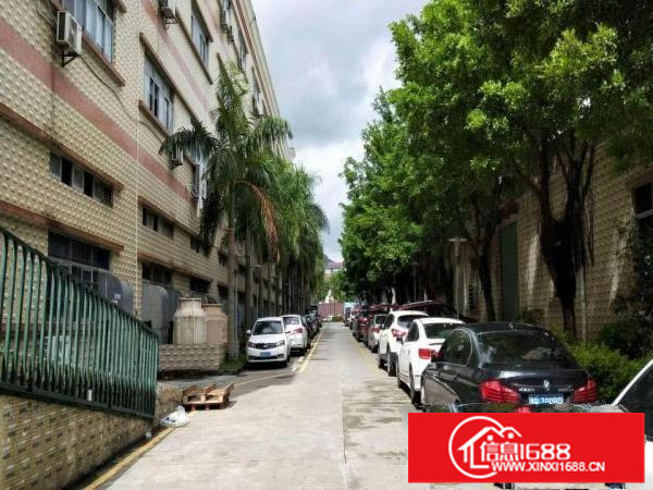 新出科技园厂房2楼1460平可申请高新补贴一手房东