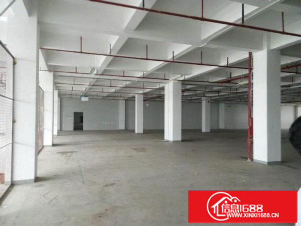 坪山新出红本一楼1000平方出租，带喷淋，高5.5米
