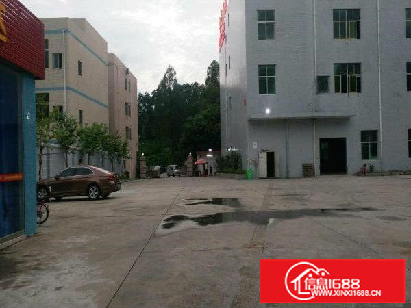 凤岗黄洞工业区厂房新出550 500平底价招租