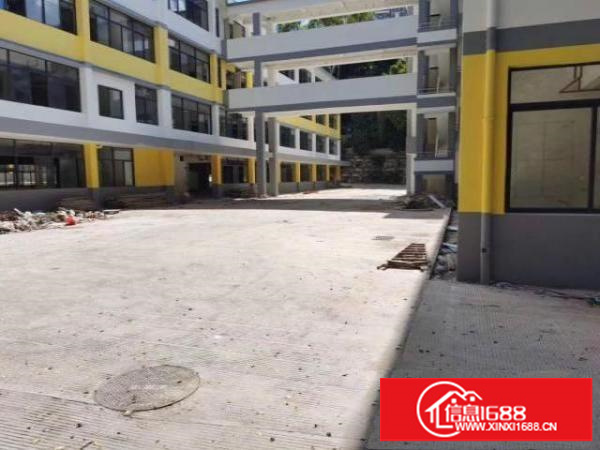 荔枝花园中心地段招租写字楼，商业旺铺，5000平大小面积分