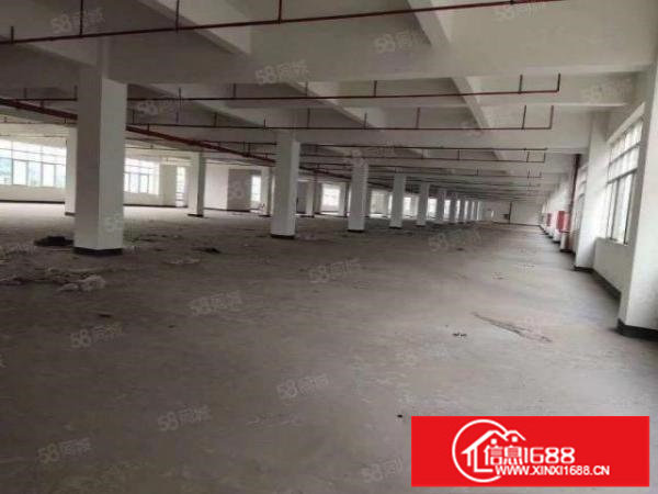 300平起分租平湖华南城旁新出原房东独栋1600平停车免费