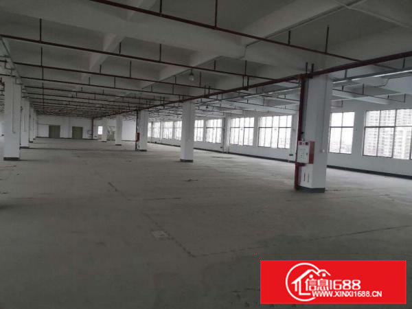 茶山镇原房东9成新3000平经典厂房