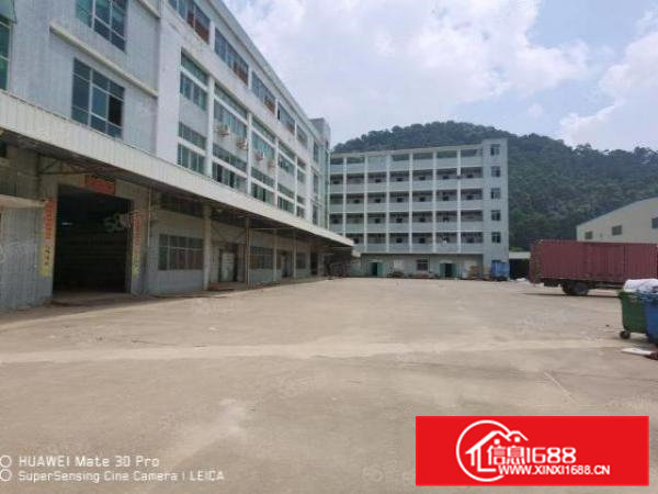 凤岗独院9100平现成冻库可做配送仓储物流空地4000平