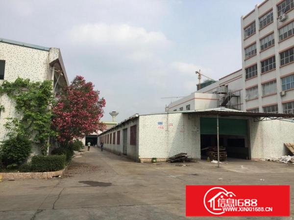 出租独门独院钢结构厂房