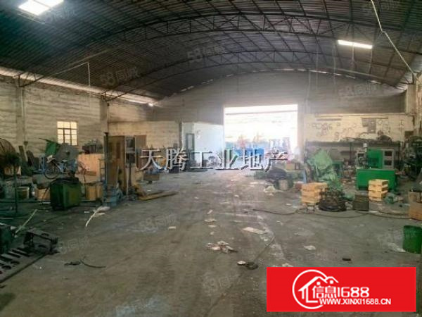 大良1501000方随便分租临时仓库租15元方