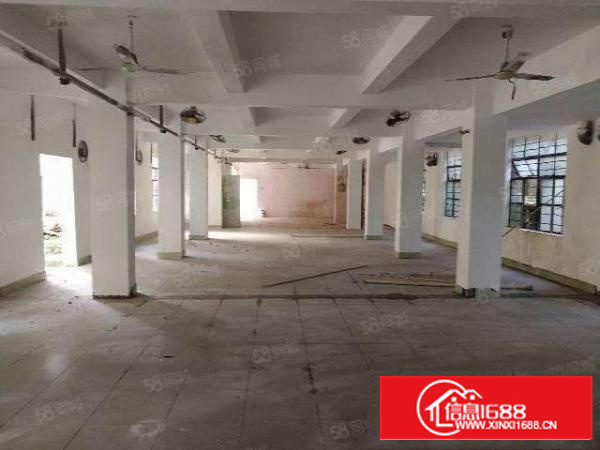 万江原房东标准厂房一楼800平方带精装修出租