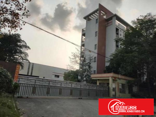 三水白泥独门独院厂房