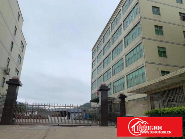 惠阳新圩原房东厂房出租
