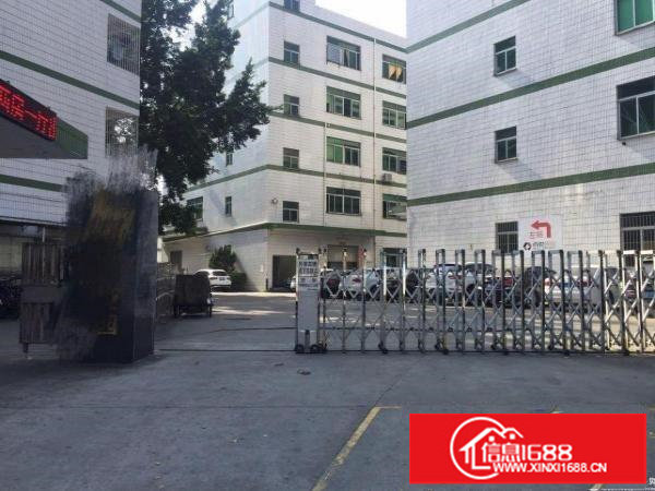 六约麻地街一楼330平方30元仓库出租