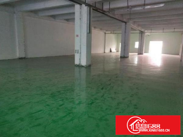 中介勿扰！新厂区，环境好，交通便利，全新地坪漆