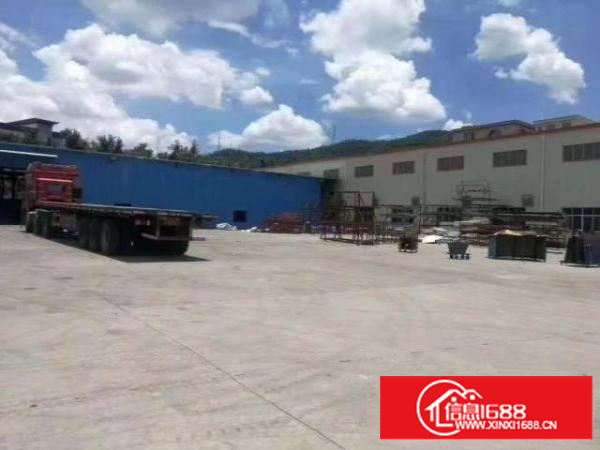 原房东独门独院钢构7500平方