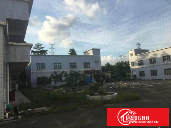 坪山大工业区独院厂房一层4000平方，主干道边，空