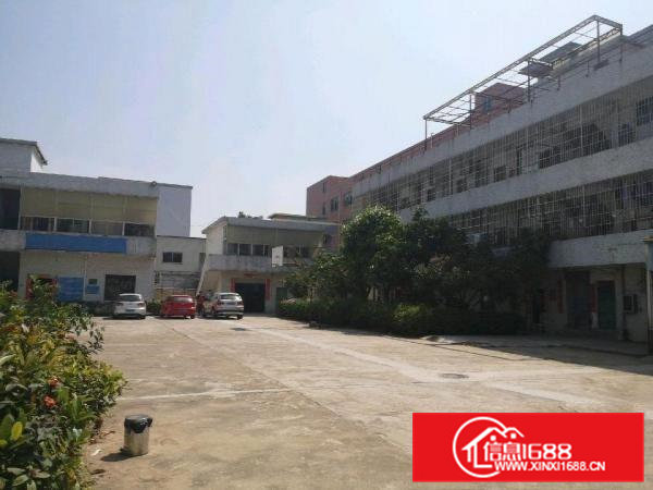 清溪镇大利村原房东独院厂房3300平带装修