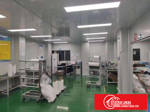 塘厦临深片区新出花园式独院厂房地段优越带九成新无尘车间