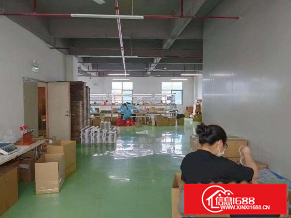 有办公室凤岗楼上厂房出租650平刷有绿色地坪漆