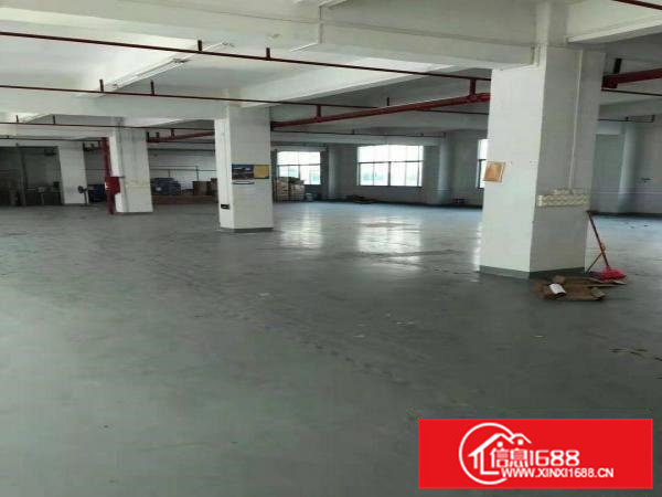 凤岗官井头带装修电子/电池厂房出租2300平方近大运城邦