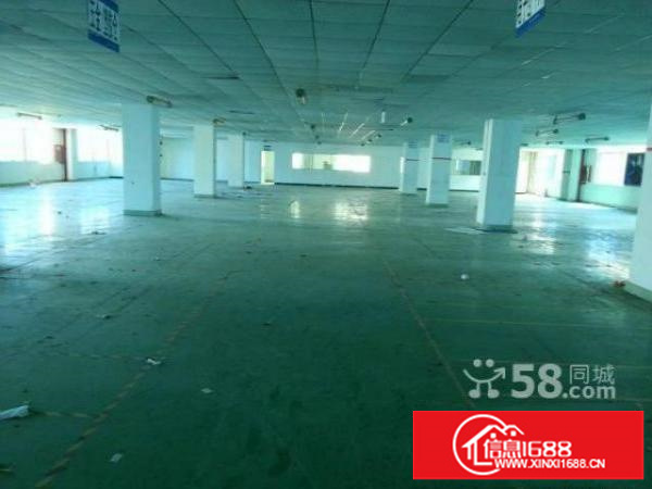 坂田大发埔龙壁工业区一楼1600平方厂房招租