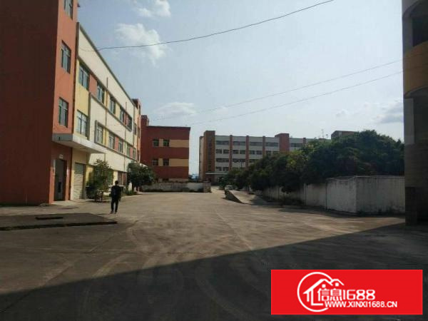 龙岗大道边上4000平米独院厂房出租