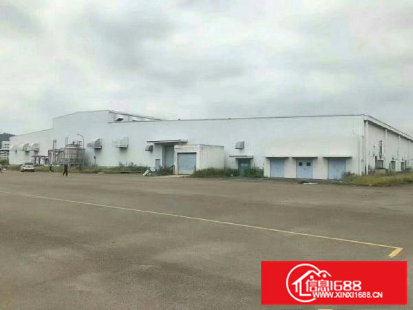 惠阳新圩国道边钢构厂房17500平米可分租