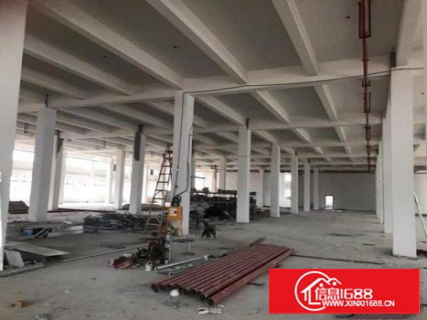 谢岗开发区厂房10000平米