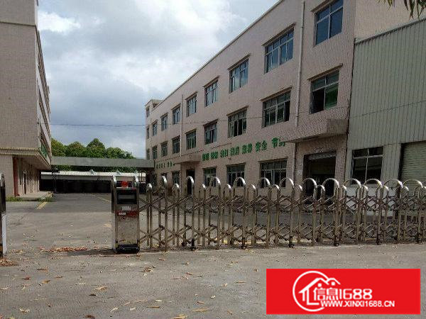 龙岗6200平米独院厂房出租