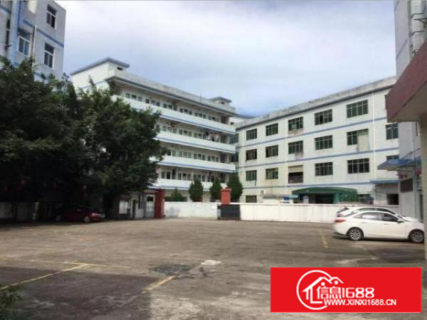 石排庙边王新出3楼实际面积800平原房东厂房出租，带装修