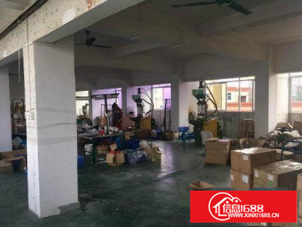 新盘租！塘厦石鼓800平方米精装办公室楼上厂房出租