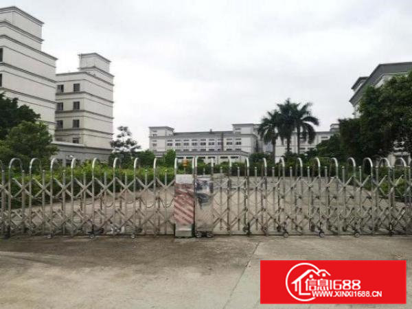 桥头镇新出原房东独院标准厂房出租