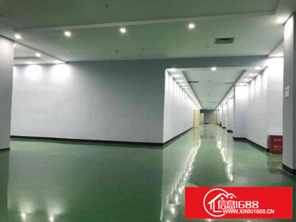 布吉丹竹头地铁电商园288平起分租有红本水电齐全