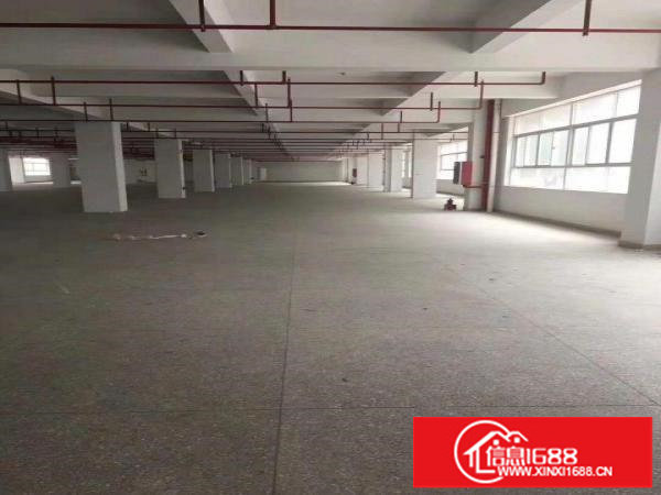 横岗原房东独院厂房出租14000平有红本有喷淋空地超大交通好