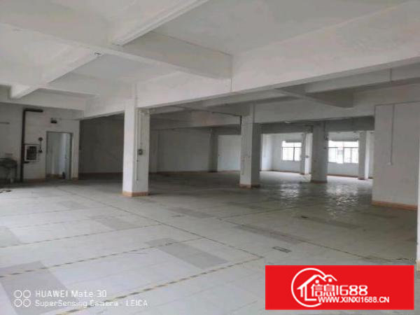 四楼600，五楼300办公、现成水电，消防。标准2吨电梯！