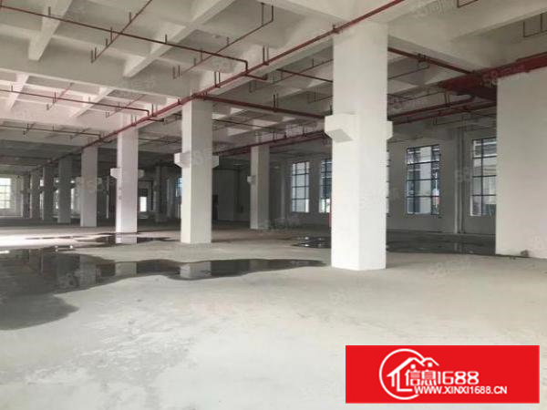 高埗镇私人，村委会工业区独院厂房招租大小都有（高埗工业办）