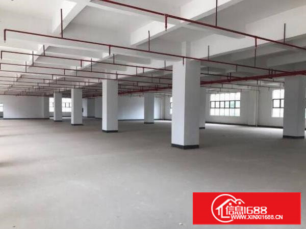 塘厦原房东厂房楼上低至17元(可分租）