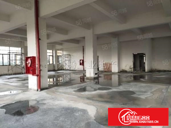 容桂全新独栋厂房出租300方起租有现成地坪漆