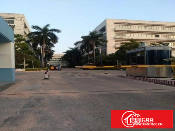 横岗安良新出2楼带装修带地坪漆有现成办公室3吨货梯