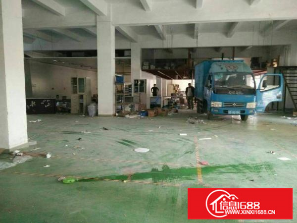 单一层8米钢结构8000平火爆招租