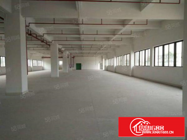 寮步新出红本原房东独院厂房4500出租喷淋消防