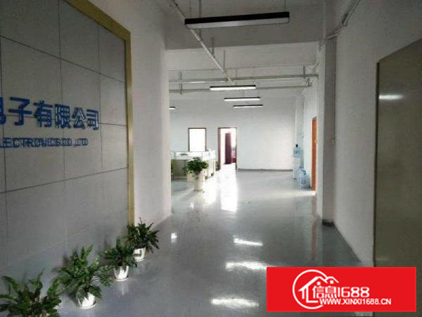 清溪三中楼上带豪华装修厂房出租1600平方米