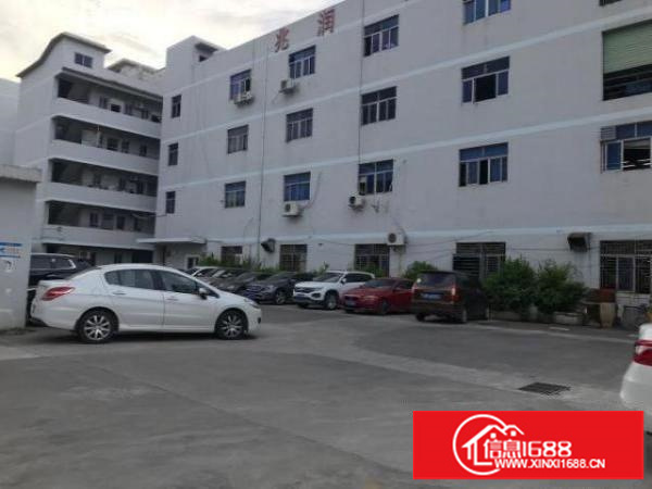 横岗中心小学附近一楼650平，适合电商五金仓库等