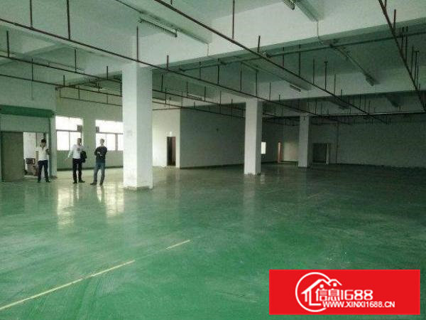 常平桥梓一楼2200平方标准厂房(带豪华装修出租)