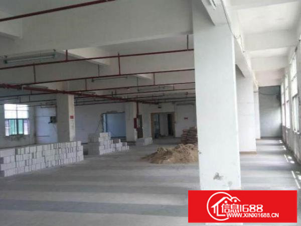 出租龙岗爱联办公厂房仓库适合淘宝仓库培训机构