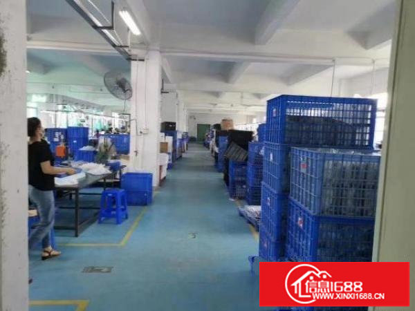 坪山区石井独门独院厂房对外招商出租