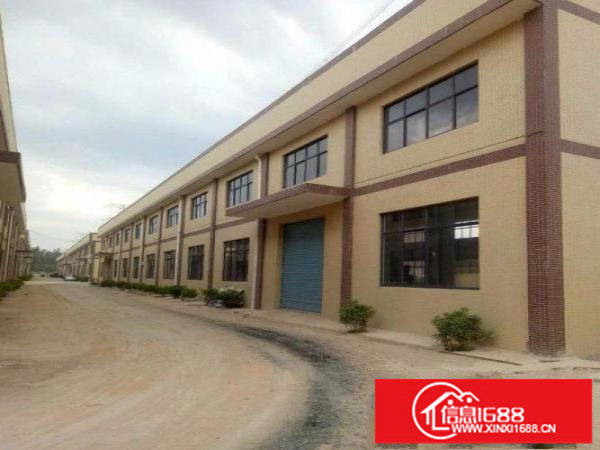 原房东自建全新钢构厂房900平超低价出租！