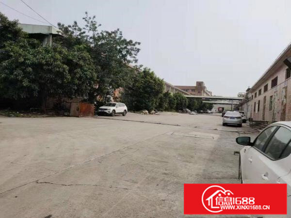 大朗镇高速出口钢结构5500平方带牛腿位厂房招租