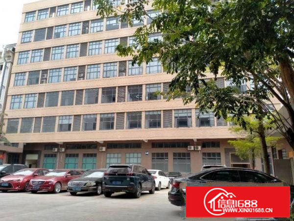 大朗洋乌蔡边原房东全新厂房1000平方出租可办环评